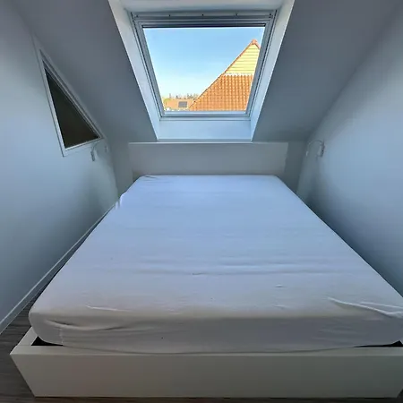 Cozy Near 펜션